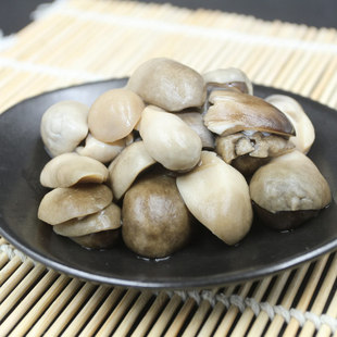 ���� ˮ��ݹ�1kg ���ʳ�� �ݹ������� �S��ֱ�� ˮ�����l