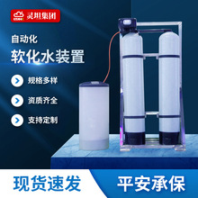 全自動化除垢設備軟水機鈉離子交換器鍋爐水處理軟化水裝置器設備