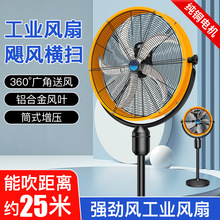 ���I��L�ȴ��ʴ��L���u�^������������ȏ���ţ���ȏS�����L��