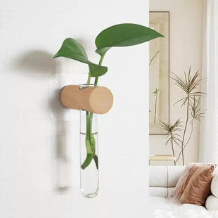 Solid Wood Flower Arrangement Japanese Style Wall Decoration Nail-Free Hydroponic Plant Glass Container Bathroom Wall Decoration