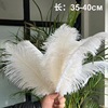 35-40cm ostrich hair DIY feather wedding feather stage home window decoration feathers