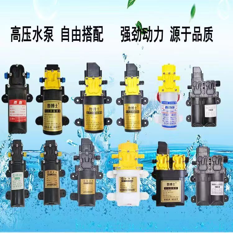 Dr. Lu/Yulu Micro Electric Diaphragm Pump Electric Sprayer High Flow 12V Water Pump Car Wash Machine Pump Wholesale