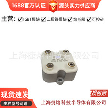 IGBTģ�K�ɿع�ԭ�S��؛�F؛SKB 30-16 A1 ���󃞻ݰ��]