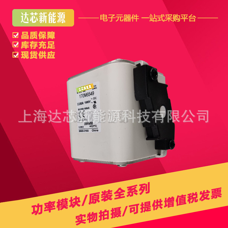 170M6594 170M6595 170M6596 170M6597 170M6598 170M6599熔断器