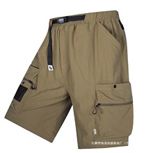 �羳���Q�S��ֱ�N 2026��ʿ���z���b��ѝ��ڴ����z�q100%�\�]��