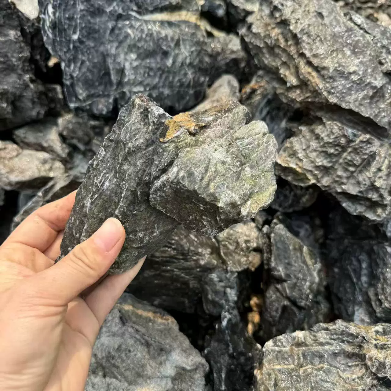 青龙石 原石水族箱草缸水陆缸三湖慈鲷鱼缸石头造景石材料