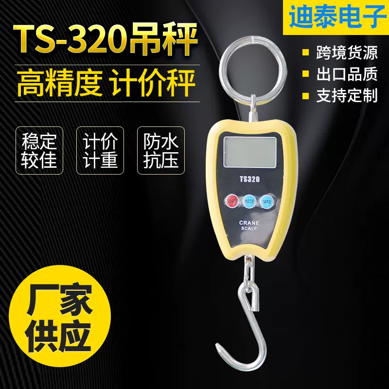 厂家供应高精度直视吊秤 手提电子吊秤 批发电子吊钩秤