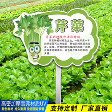 �߲˹Ϲ�Ʒ�N������B˽�Ҳˈ@�օ^�ƌWУ�༉�ˈ@�օ^�˵زˈ@��