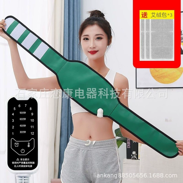 Green smart 12-speed timed model