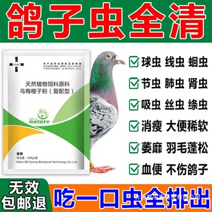 �����w������xș�������xș���x���xë���x���ô��xșȫ�x����ș