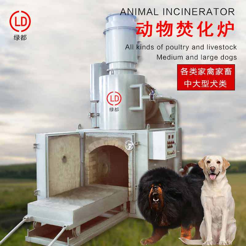 医疗垃圾焚化炉工业废弃物垃圾焚烧炉推拉式炉床动物尸体焚烧炉