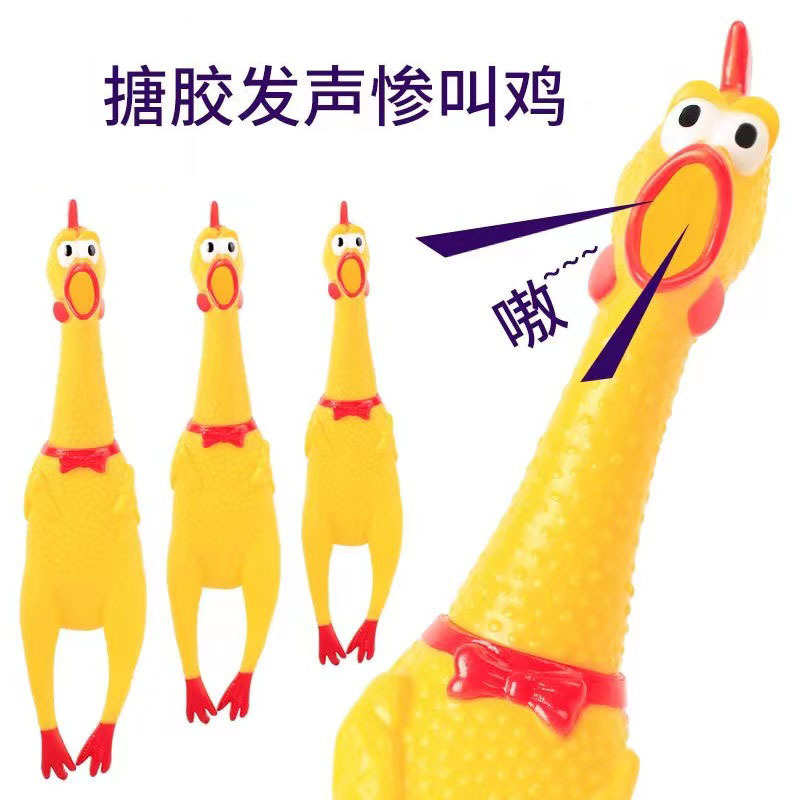 이상한 소리를 내는 닭, 필사적으로 싸우는 닭, 강아지 장난감, 물리지 않는 강아지, 비명소리, 닭 애완견