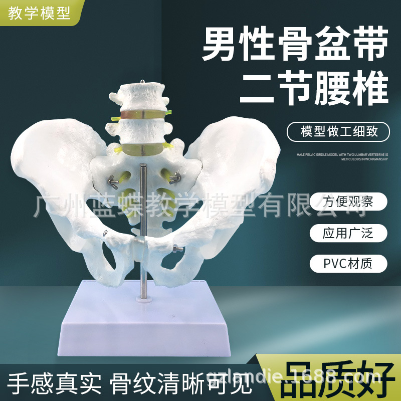 ��Ȼ�����Թ����������׵��ģ�� ���� ��׵β׵ģ�� ��׵ģ��