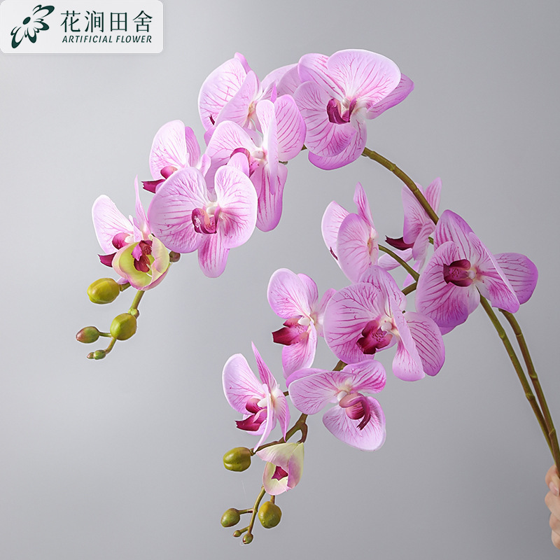 造花感触保湿胡蝶蘭感触大きな蘭の写真撮影の装飾品家の装飾造花卸売|undefined