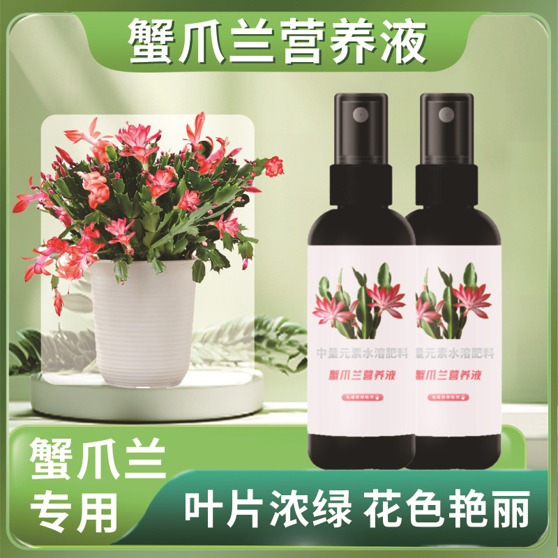 カニの爪蘭の専用の肥料の栄養液の規格品の催花の肥料は希釈しないで植物の黄葉の緑を救います。|undefined