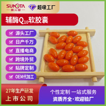 �oøQ10ܛ�z�� CoQ10���߼������� ���ߠI�B֧�ֳ��ڼ�