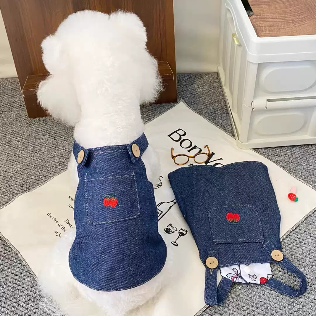 新款狗狗宠物猫咪牛仔裙子用品泰迪比牛仔裙子熊春夏小型犬衣服用