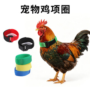 �羳�����u�Ȧ�����Q�o�h�Y�i�� 2���b���h���u���������i��