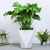 Scandinavian plant lamp for living room indoor for office