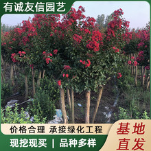 ������ޱ��t�����ޱ���ռt���Ե��d�^�p���܄e��ͥԺ�G���L����