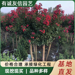 ������ޱ��t�����ޱ���ռt���Ե��d�^�p���܄e��ͥԺ�G���L����