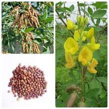 ľ���N�ј�N���^���������������ؘ䶹���S���N�²ɷN���o�¹���