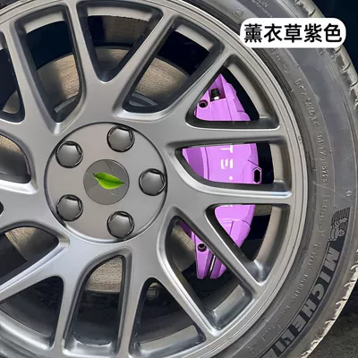 Brake caliper cover: Brake Modification and Upgrade Personalized - 20-24-modely19-20inch-lavender-purple
