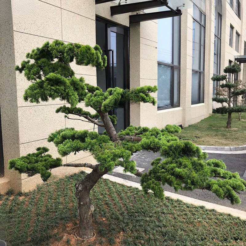 仿真松树枝松针假罗汉松美人松柏树枝松树叶黑松崖柏枝迎客垒德株