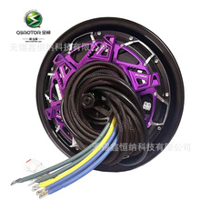 12��V6�L�Y3000WP40HQSMOTORȫ�늙C��Ƭ��48-96V늄�܇�Ħ늙C