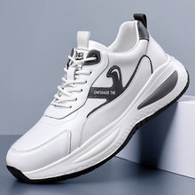 ���eƤЬ2025ܛ��ܛ����ʿӢ���ٴ�͸�⳱Ь���\�����eЬһ�����l