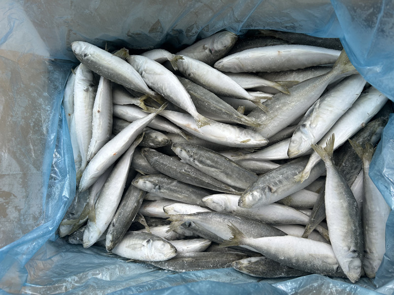 微信图片_20230823160128