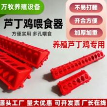 ���Sֱ�Nȫ���ϼӺ��uʳ���L�����J���u�W�^�������rιʳ��