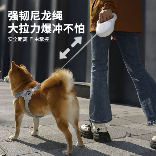 New pet automatic retractable traction rope explosion-proof traction dog walking reflective dog rope outdoor portable pet supplies