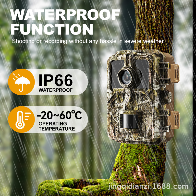 Cámara de animales infrarrojos transfronterizos cámara de caza HD al aire libre cámara de seguimiento de visión nocturna inducción cámara de caza