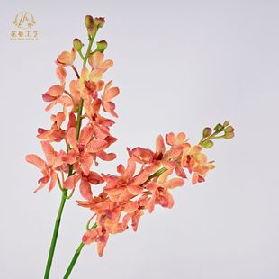 �ָ�ǧ���m���滨�f���m�ָмٻ������mܷ���m�����m�Ҿӻ�c�b�