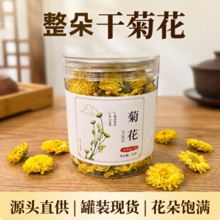 �ջ��S�ջ��誚�����b�Ƀ��o�s�|�S�ջ�������ˮ��؛�S�����l���l