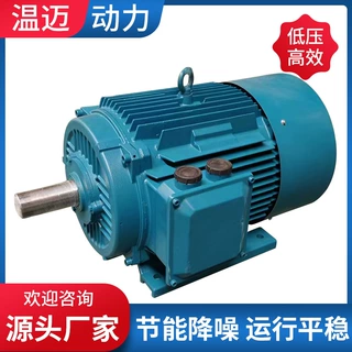 WMPMA系列低压高效三相永磁电机厂家一级能效噪音低振动小性能可
