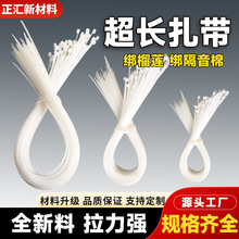 ��̖���������������iʽ���I��������֥��U��ɏ������100�l���b