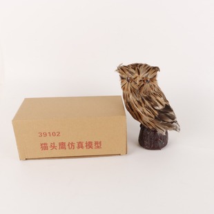 Simulation owl model 39102 junior high school biology teaching instrument owl teaching aids primary school science teaching aids