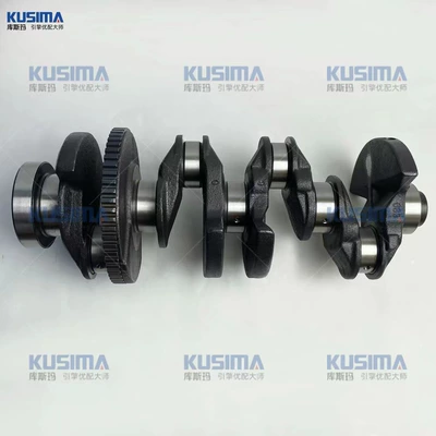 N43 N46 2.0L – Crankshaft, camshaft