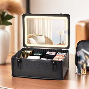 Cosmetic Case 2024 New 10-inch 15-inch Portable Home Cosmetic Storage Box with Lamp and Mirror