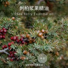 ���_�؁� | �M�� �ЙC �̰؝{��/�̙u�{���η�����