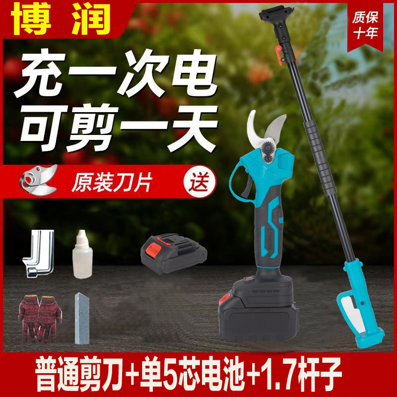 プロの国境を越えた電動剪定鋏、リチウム電池剪定鋏、庭の果樹の果実の枝はさみ、園芸の枝剪定電動工具|undefined