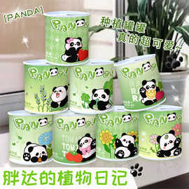 毕业礼物卡通熊猫易拉罐盆栽批发学生奖品室内迷你桌面绿植好养活