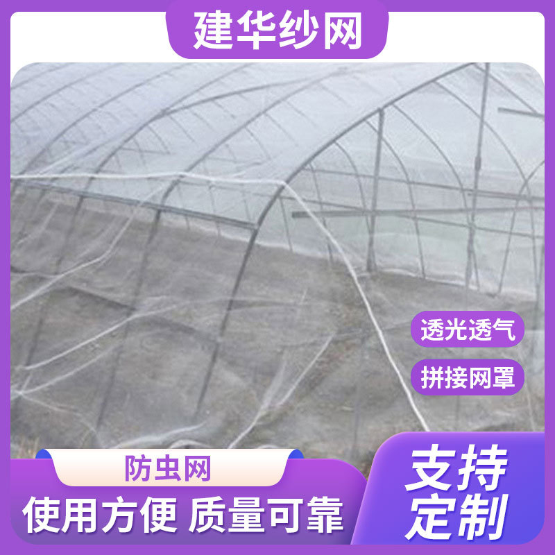 批发生态农业专用物理防鸟虫网白色塑料防虫网大棚加厚防蚊