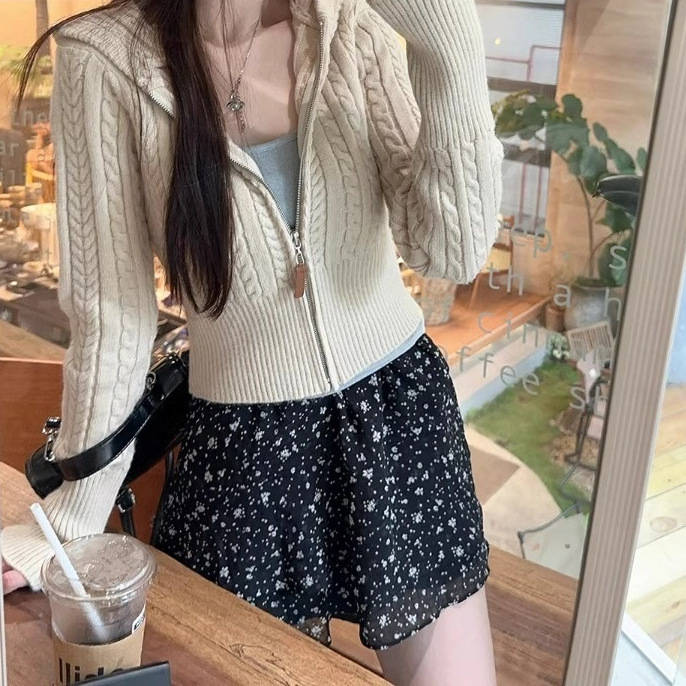 Twist Hooded Knitted Cardigan for Women Autumn and Winter New Zipper Sweater Petite Slim Short Top with Gray Outerwear