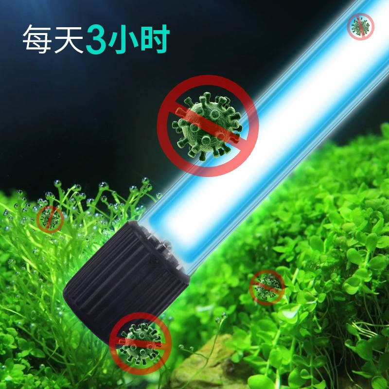Aquarium, underwater sterilisation lamp