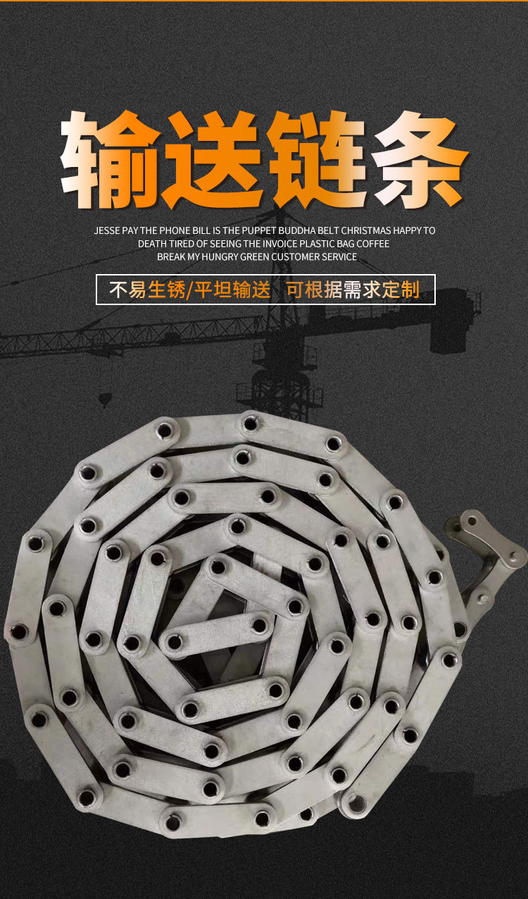 输送链条_02.jpg