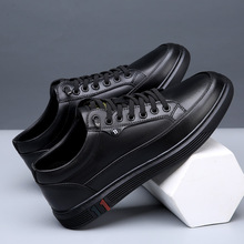 2024�����¿���Ь��Ƥ͸��ٴ��n�泱�����eƤЬ��ʿ��Ь�S�����l