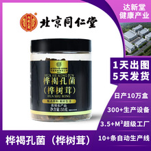 北京同仁堂桦树茸桦褐孔菌白桦茸亳州养生茶食用菌类大量供应批发